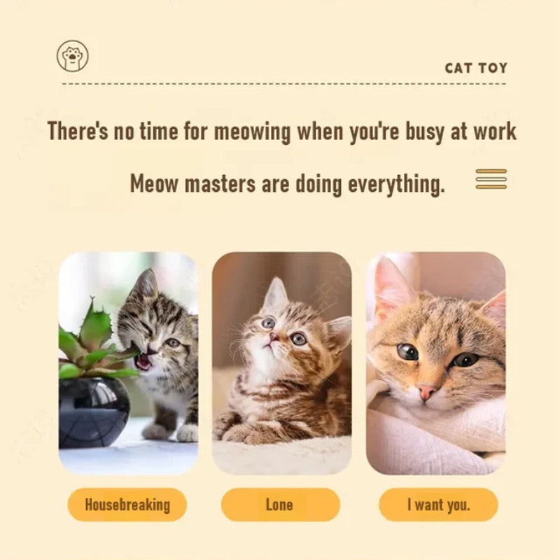 ⏳Begrenzte Zeit 50% Rabatt💥Interaktives Katzen-Boxsack-Spielzeug
