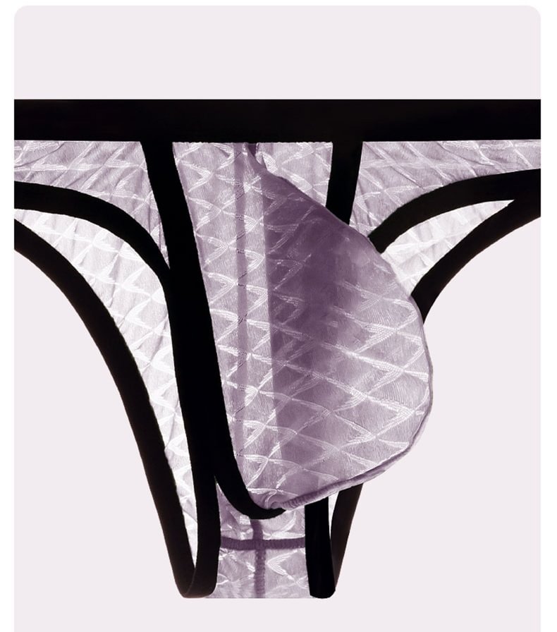 Sexy Low-Rise Comfort Bikini für Herren, transparenter ultradünner Slip aus Eisseidennetz
