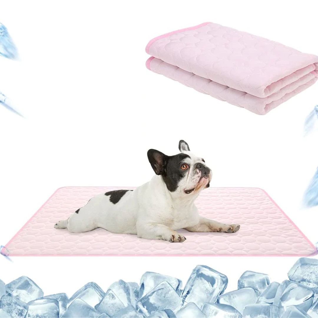 🔥🧊Letzter Tag 49 % Rabatt😍Premium Kühlmatte für Hunde🐶🐱