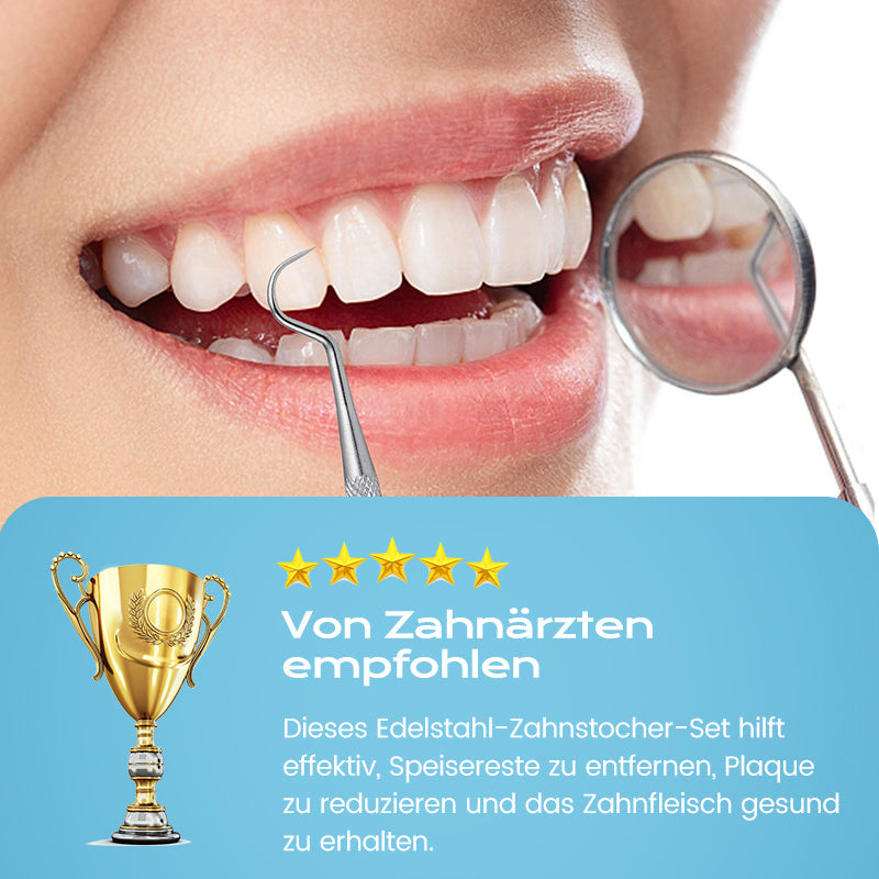 ⚡ Edelstahl Zahnstocher Set | Hygienisch & Langlebig 🦷✅
