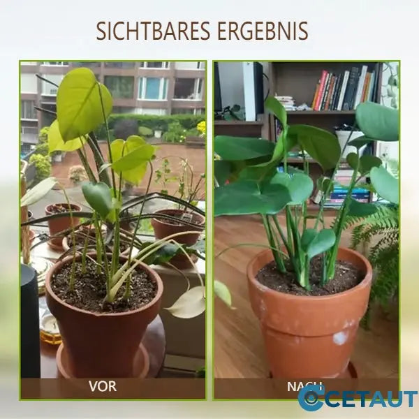 🌿💪 ECOCERT-zertifizierter Bodenaktivator – Stärkt Ihren Boden, fördert üppiges Wachstum mühelos! 🌼✅