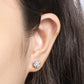 💎💎Atemberaubende klassische Diamantohrstecker mit sechs Krappen