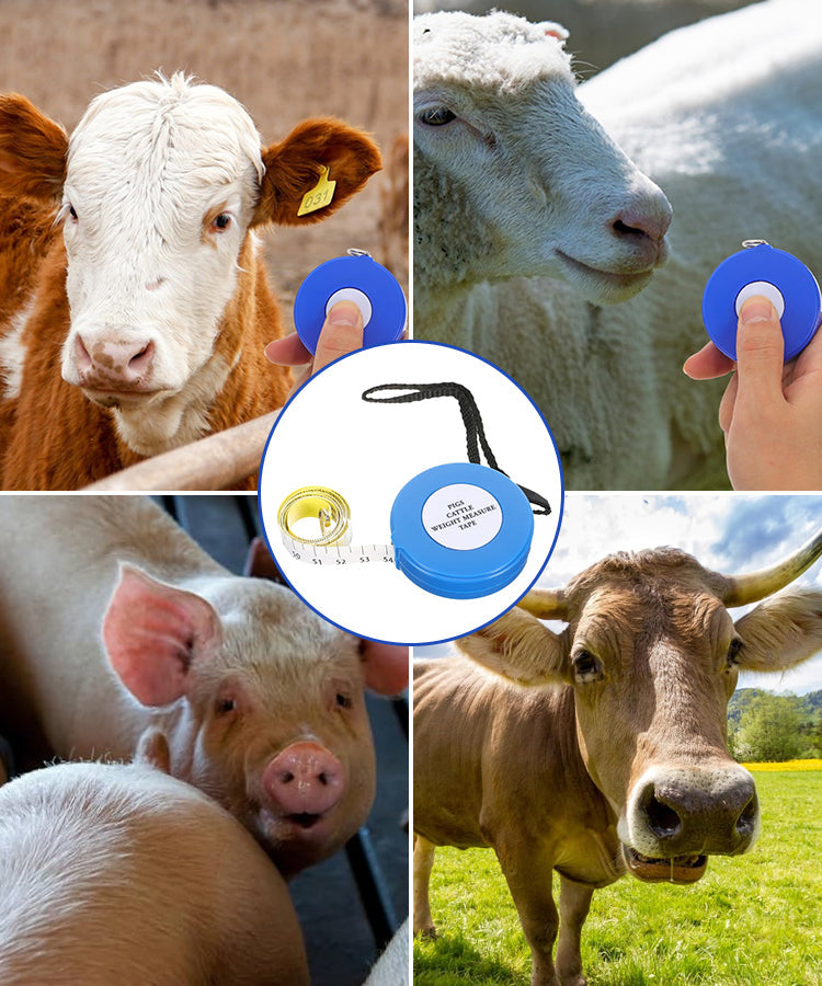 Tier-Messband für Rinder und Schweine