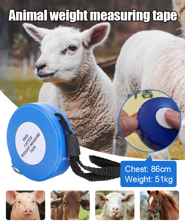 Tier-Messband für Rinder und Schweine