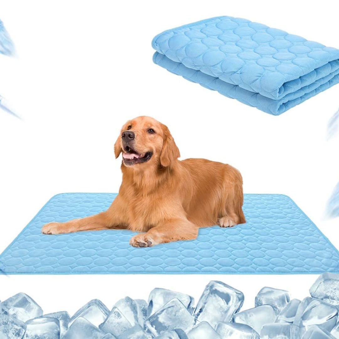 🔥🧊Letzter Tag 49 % Rabatt😍Premium Kühlmatte für Hunde🐶🐱