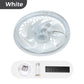 🌞Frühlingserwachen: 50% Rabatt!💡2-in-1 dimmbare Deckenventilatorlampe mit Fernbedienung – Leise, verstellbar und platzsparend