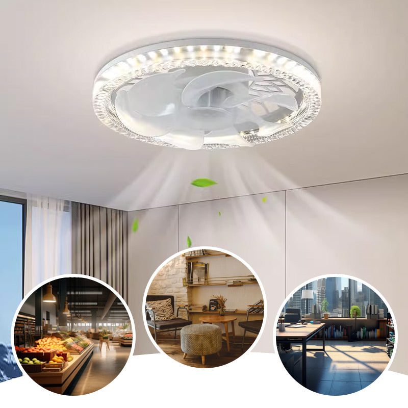 🌞Frühlingserwachen: 50% Rabatt!💡2-in-1 dimmbare Deckenventilatorlampe mit Fernbedienung – Leise, verstellbar und platzsparend
