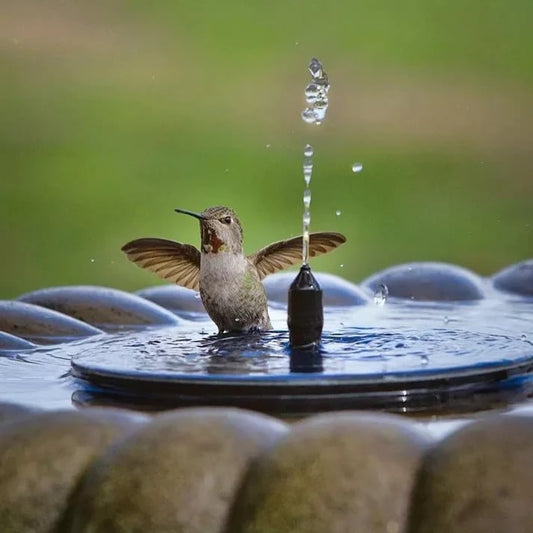 🎁HEISSER ANGEBOT 50 % RABATT 🎁Vollautomatische Solar-Wasser-Brunnen, geben Sie Ihre Fisch-Teich. Teich ein Gefühl der hohen Klasse hinzufügen