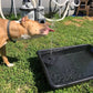 🎁HEISSER ANGEBOT 50 % RABATT 🎁Vollautomatische Solar-Wasser-Brunnen, geben Sie Ihre Fisch-Teich. Teich ein Gefühl der hohen Klasse hinzufügen