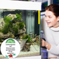 🚀Kaufen 3 und erhalten 5 gratis♻️💧Leistungsstarke Wasserreinigungstablette für Aquarien