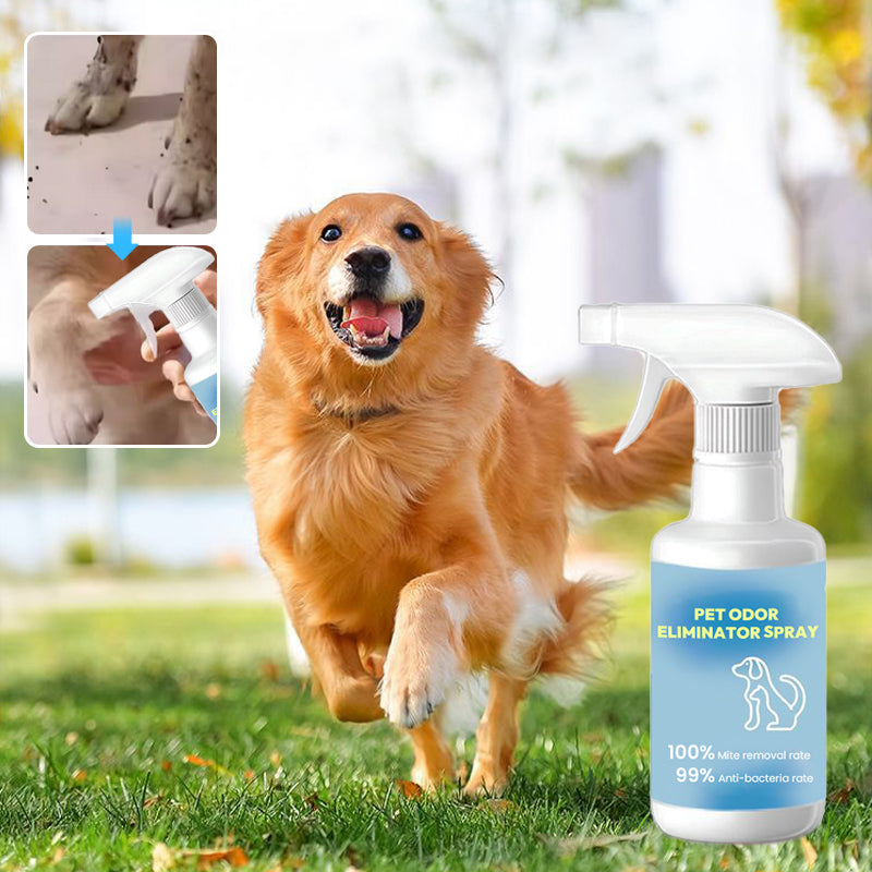 🔥Geruchsentferner-Spray für Haustiere🐕