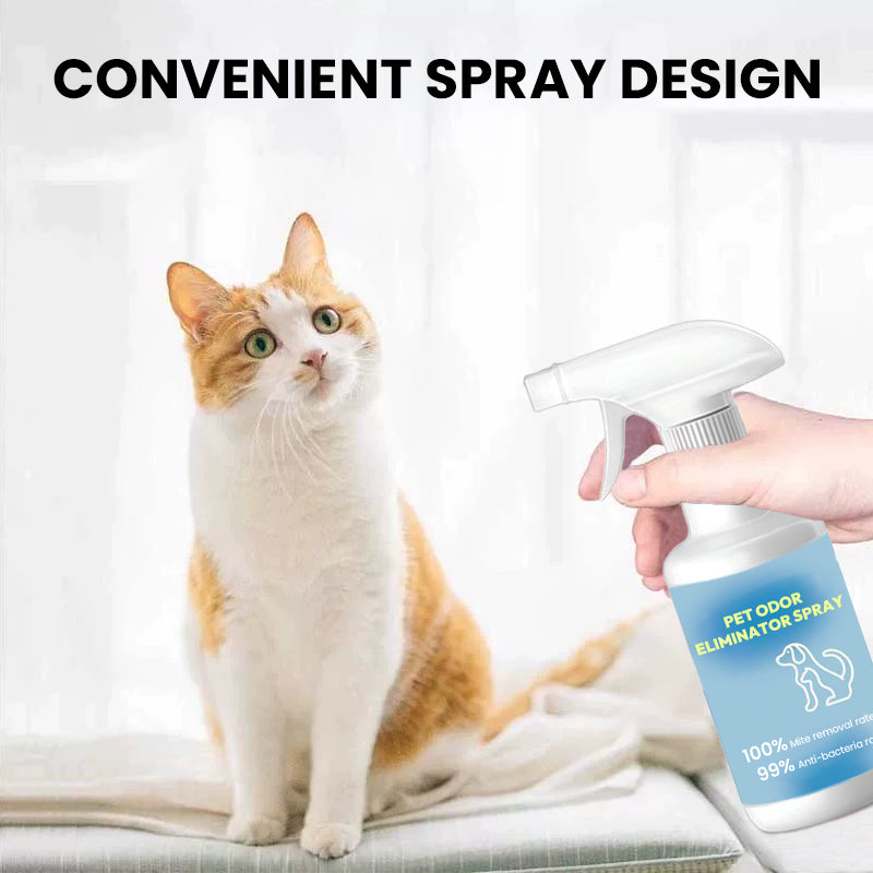 🔥Geruchsentferner-Spray für Haustiere🐕