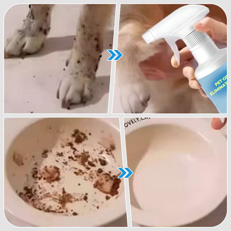 🔥Geruchsentferner-Spray für Haustiere🐕