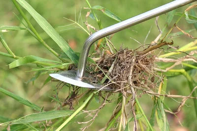 🏡Garten-Unkrautentfernungswerkzeug Aushebe- und Jätwerkzeug