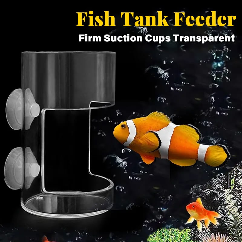 Aquarium Futterring und Tablett（Geben Sie den Fischen einen sauberen Lebensraum）