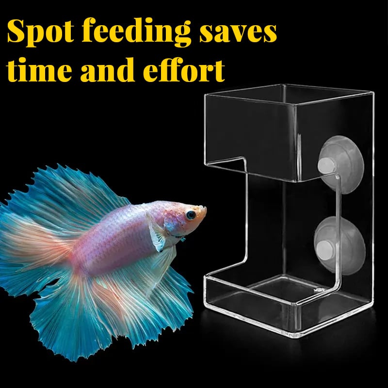 Aquarium Futterring und Tablett（Geben Sie den Fischen einen sauberen Lebensraum）