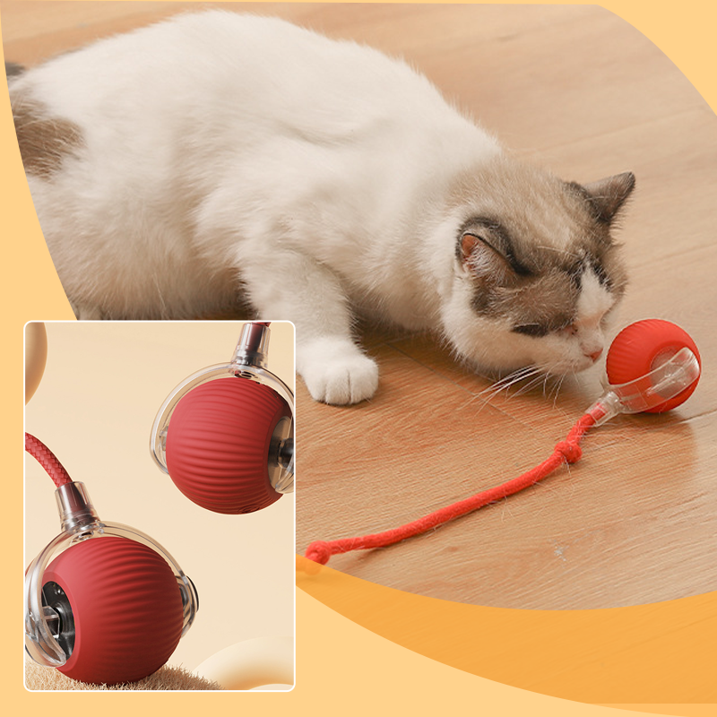 😻🐾Intelligentes zwitscherndes rollendes interaktives Katzenspielzeug Ball