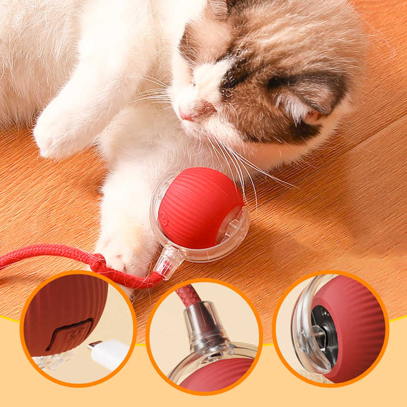 😻🐾Intelligentes zwitscherndes rollendes interaktives Katzenspielzeug Ball