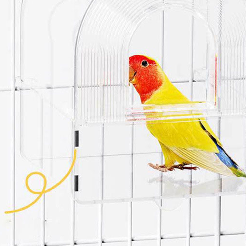 🦜Zwei-in-Eins-Becken zum Baden und Füttern von Papageien🛁