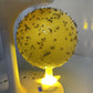 Klebrige Fruchtfliegenfalle mit Ständer und LED
