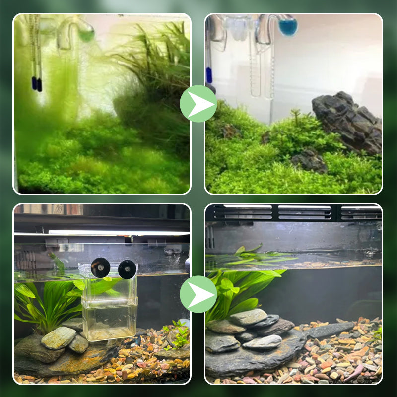 Oberflächenskimmer für Aquarien