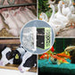 🎁Große Aktion – 50 % Rabatt🎁Wassertrog-Reinigungswürfel
