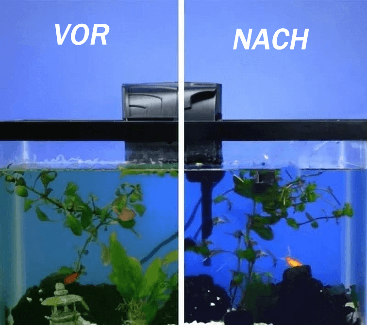 🎁Große Aktion – 50 % Rabatt🎁Wassertrog-Reinigungswürfel