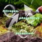 2 KAUFEN 2 GRATIS-Wasserlöslicher Blütendünger für Blumen