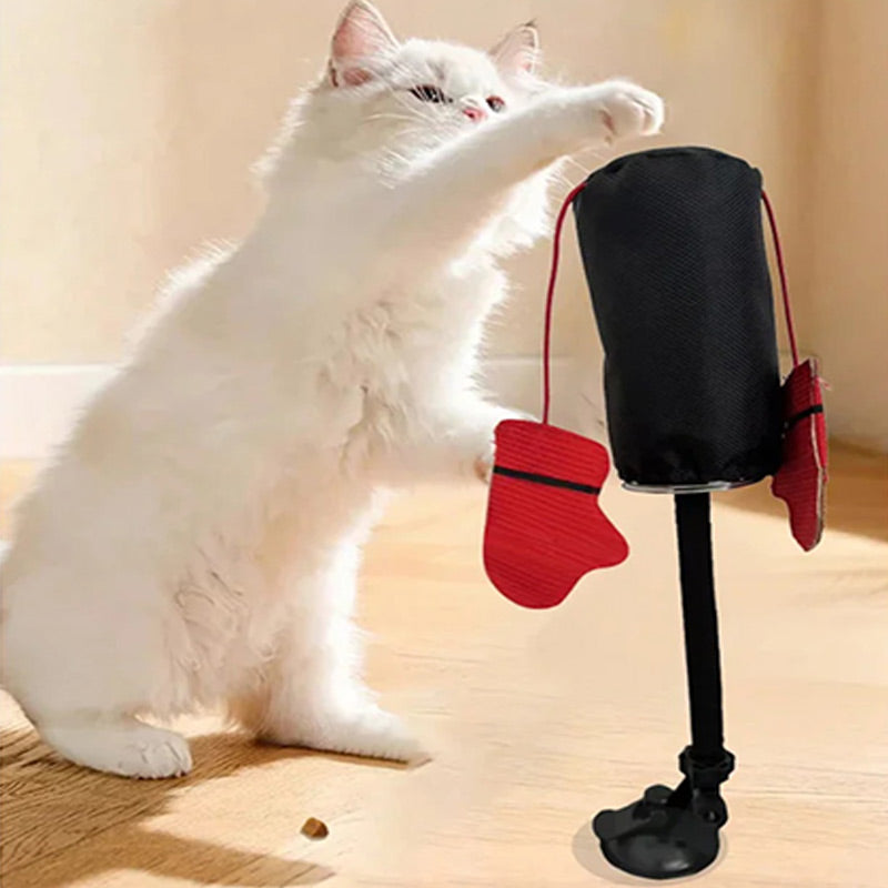 ⏳Begrenzte Zeit 50% Rabatt💥Interaktives Katzen-Boxsack-Spielzeug