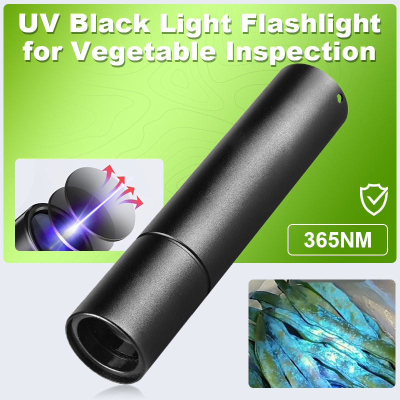UV-Schwarzlicht-Taschenlampe zur Gemüse-Detektion