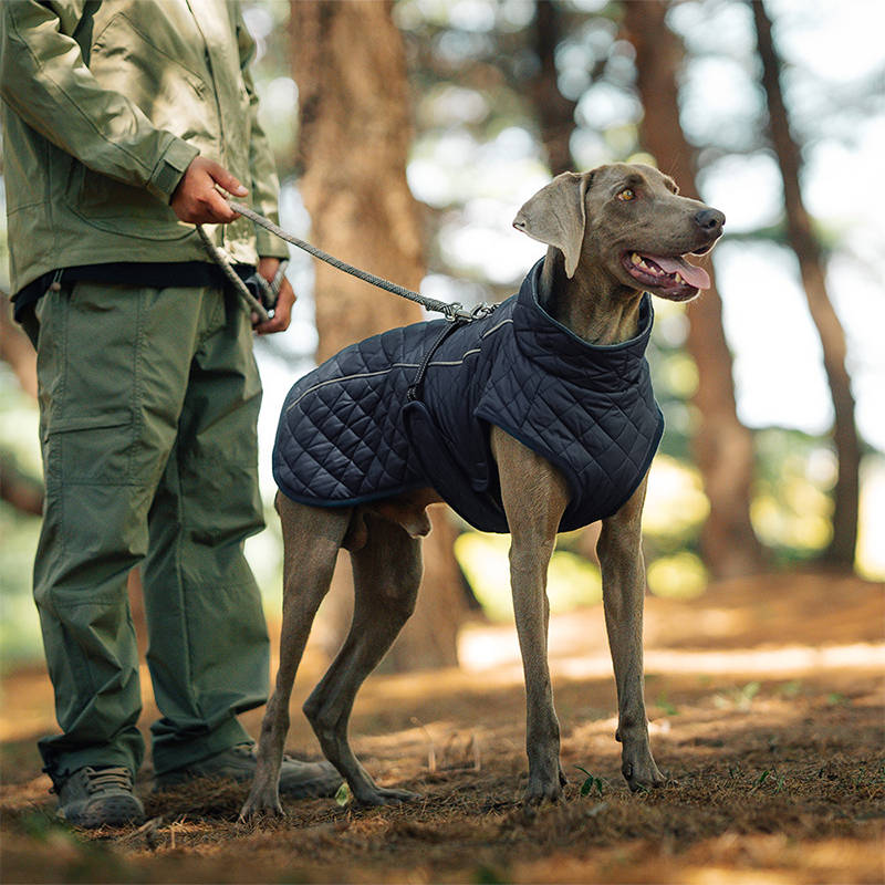 🐕🐕2025 neuestes Modell 🌈 Winter-Reflexmantel für Hunde im Freien