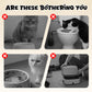 🚽😺 Katzen-Napf Toilette Design: Hygienisch & Platzsparend mit Edelstahlschüssel & Staubschutz - Wandmontage ohne Bohren, praktischer Stauraum für Zubehör!