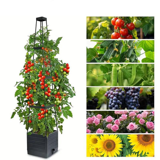 🍅Selbstbewässerndes Tomaten-Pflanzset mit Kletterpflanzenhalter🪴