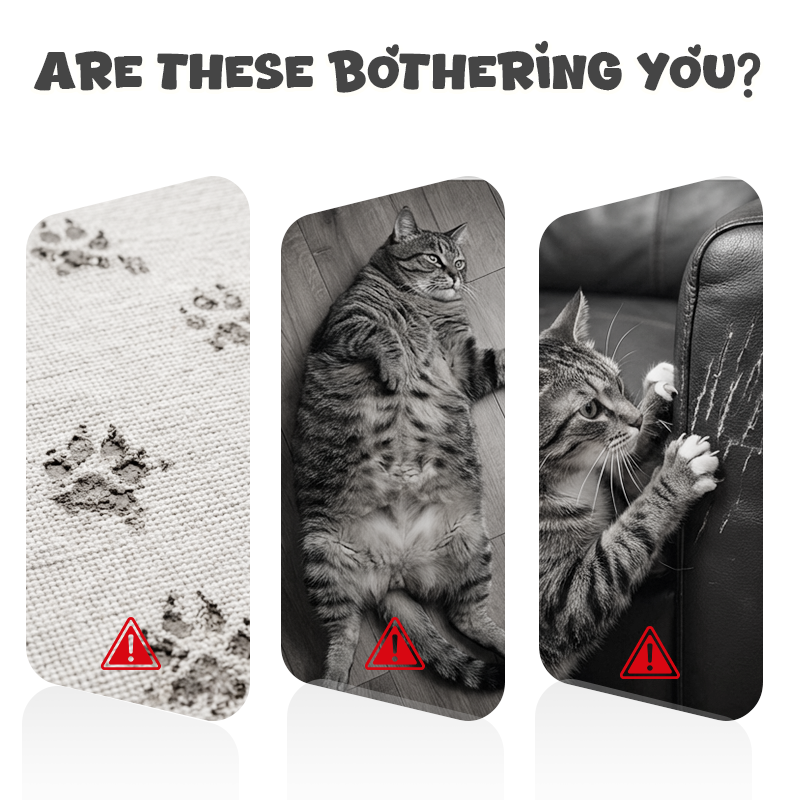 Interaktives Katzenspielzeug zum Aufhängen mit Fernbedienung