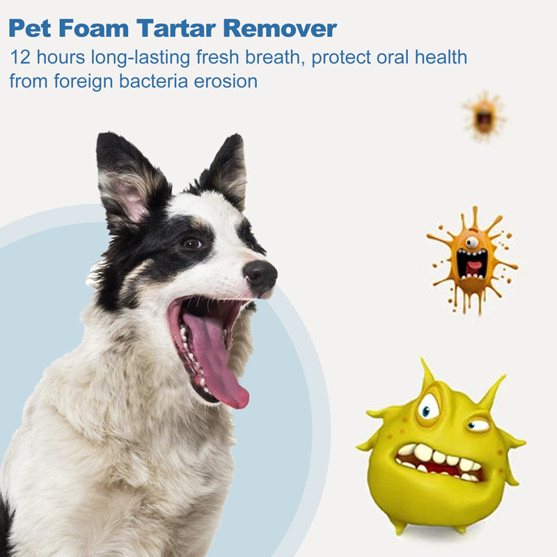 💘 Nur für kurze Zeit: 50% Rabatt!🐾 Schaum-Zahnsteinentferner für Haustiere – Natürliche Formel & mühelose Anwendung!