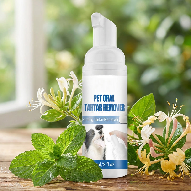 💘 Nur für kurze Zeit: 50% Rabatt!🐾 Schaum-Zahnsteinentferner für Haustiere – Natürliche Formel & mühelose Anwendung!