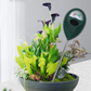 🌱Professionelles Bodenfeuchtigkeitsmessgerät für Zimmer- und Gartenpflanzen