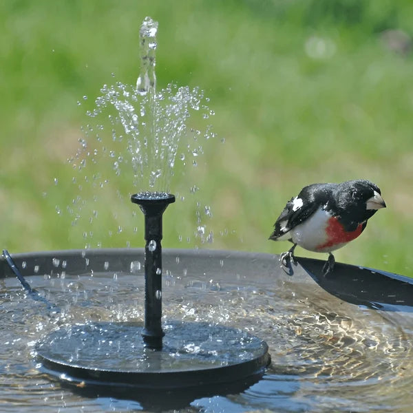 Kompakte Solar-Teichpumpe für Vogelbäder