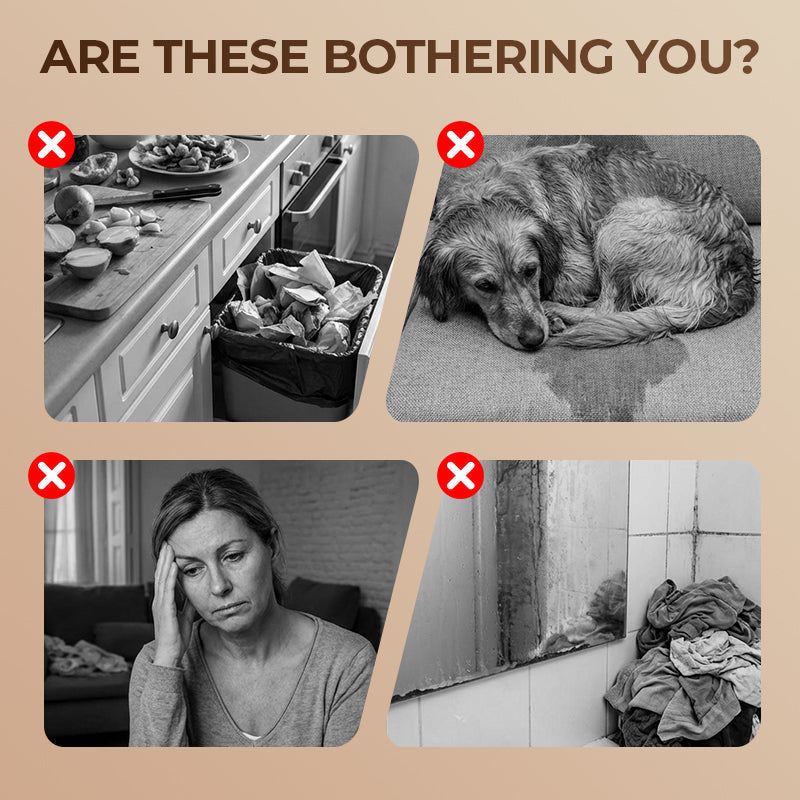 10 ml Natürliches Pflanzenextrakt-Aromatherapie-Ätherisches Öl