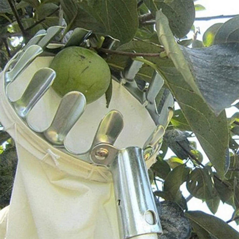 🍎Blitzangebot! Obstpflücker mit Auffangkorb – Pflückkopf aus verzinktem Eisen, Stoffbeutel – mit oder ohne Teleskopstiel (1,6–4,0 m) – Pflücken vom Boden aus! ✨