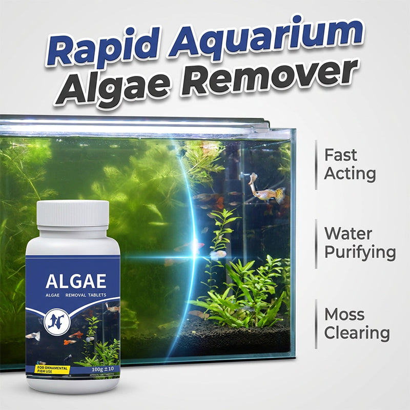 📢📢50 % Rabatt!!🥳 🌿🐠 Algenhemmendes Mittel für Aquarien – hemmt das Algenwachstum, schont Fische und Garnelen, regelmäßige Anwendung hält Scheiben und Dekorationen sauber 🛡️💚