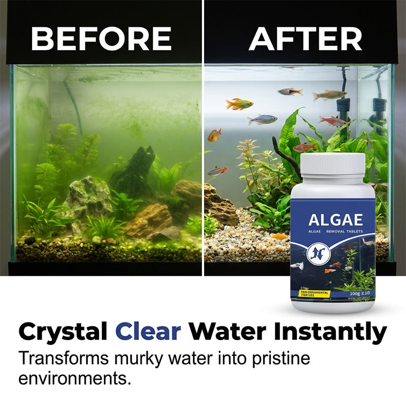 📢📢50 % Rabatt!!🥳 🌿🐠 Algenhemmendes Mittel für Aquarien – hemmt das Algenwachstum, schont Fische und Garnelen, regelmäßige Anwendung hält Scheiben und Dekorationen sauber 🛡️💚