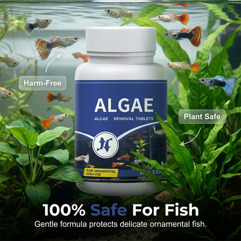 📢📢50 % Rabatt!!🥳 🌿🐠 Algenhemmendes Mittel für Aquarien – hemmt das Algenwachstum, schont Fische und Garnelen, regelmäßige Anwendung hält Scheiben und Dekorationen sauber 🛡️💚