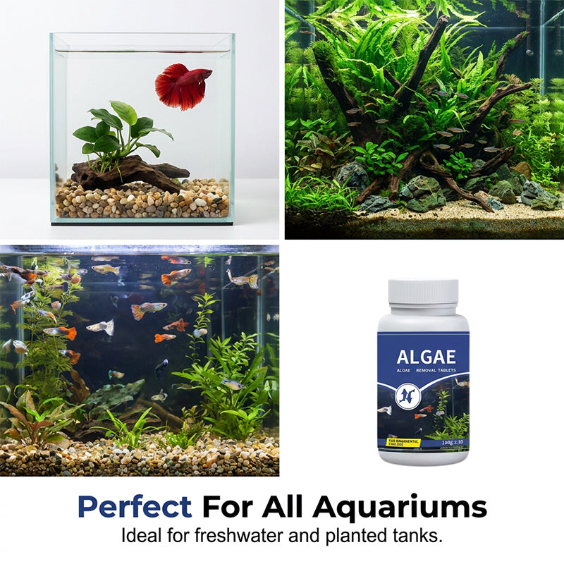 📢📢50 % Rabatt!!🥳 🌿🐠 Algenhemmendes Mittel für Aquarien – hemmt das Algenwachstum, schont Fische und Garnelen, regelmäßige Anwendung hält Scheiben und Dekorationen sauber 🛡️💚