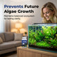 📢📢50 % Rabatt!!🥳 🌿🐠 Algenhemmendes Mittel für Aquarien – hemmt das Algenwachstum, schont Fische und Garnelen, regelmäßige Anwendung hält Scheiben und Dekorationen sauber 🛡️💚