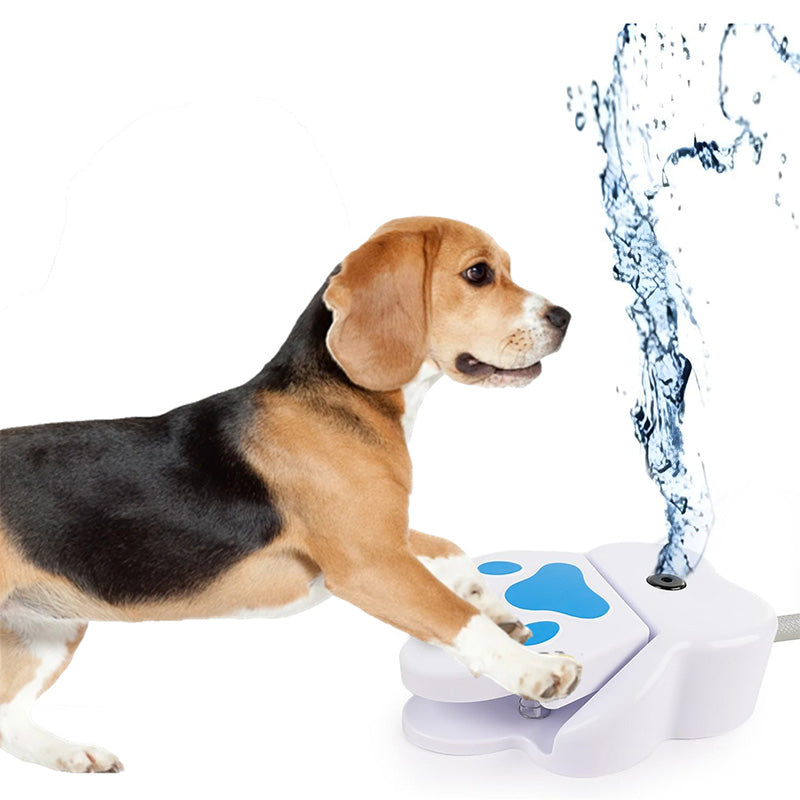 🐾💧⛲ Hunde-Trinkbrunnen, der durch die Pfote betätigt wird 🐶✨