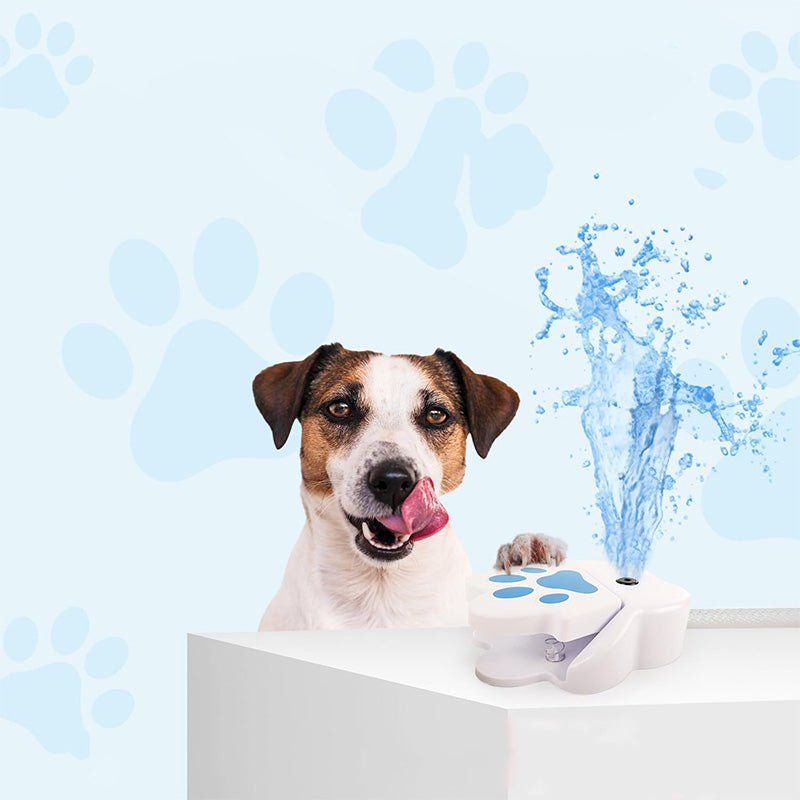 🐾💧⛲ Hunde-Trinkbrunnen, der durch die Pfote betätigt wird 🐶✨