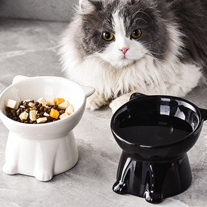 🐱 Erhöhter Kunststoff-Fressnapf für Katzen 🥣 Ergonomisches Design für Komfort beim Fressen