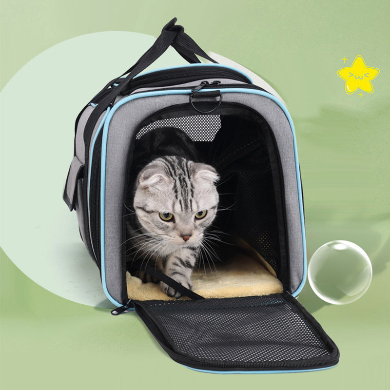 🐱 Faltbare & erweiterbare Haustiertasche – atmungsaktiv, großzügiger Innenraum, tragbar als Hand- & Schultertasche für kleine Hunde & Katzen 👜🐾