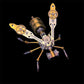 🐝 3D Metall-Bienen-Puzzle-Bausatz zum Zusammenbauen